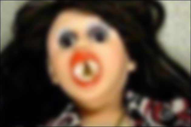 ���1���͂ǂ�ȃ_�b�`���C�t�������̂��H���p�������1���̐^��